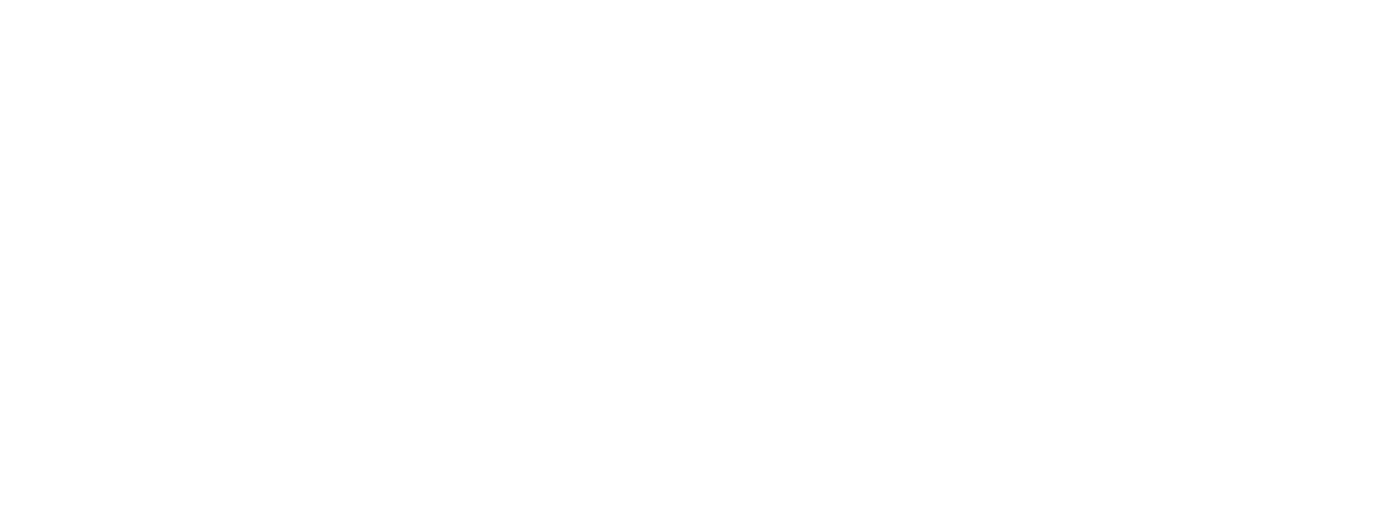 logo corriere TNT
